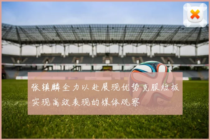 张镇麟全力以赴展现优势克服短板实现高效表现的媒体观察